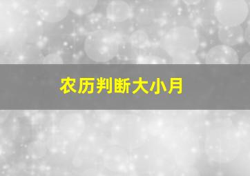 农历判断大小月