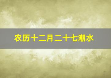 农历十二月二十七潮水