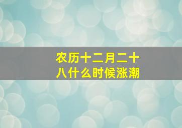 农历十二月二十八什么时候涨潮