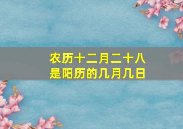 农历十二月二十八是阳历的几月几日