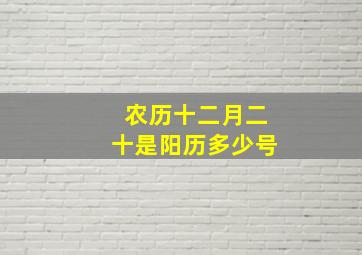 农历十二月二十是阳历多少号