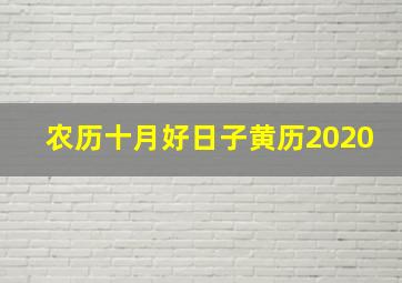 农历十月好日子黄历2020