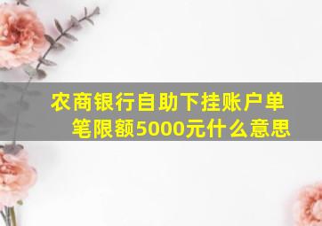 农商银行自助下挂账户单笔限额5000元什么意思