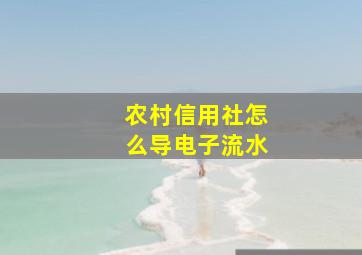 农村信用社怎么导电子流水