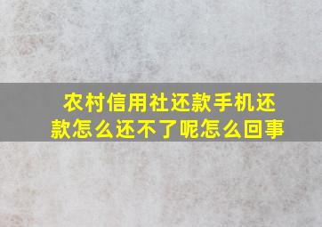 农村信用社还款手机还款怎么还不了呢怎么回事