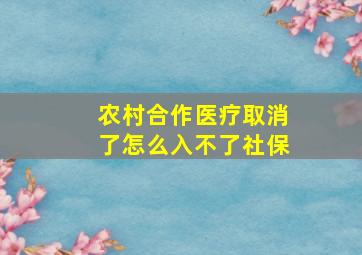 农村合作医疗取消了怎么入不了社保