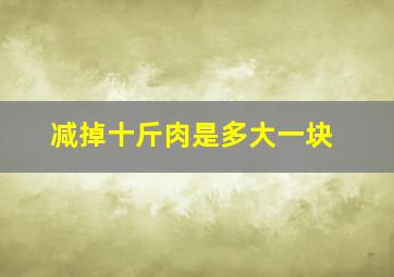 减掉十斤肉是多大一块