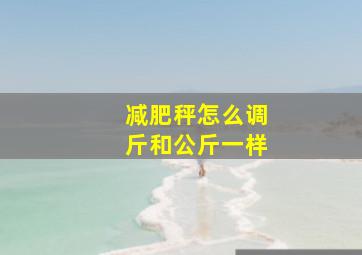 减肥秤怎么调斤和公斤一样