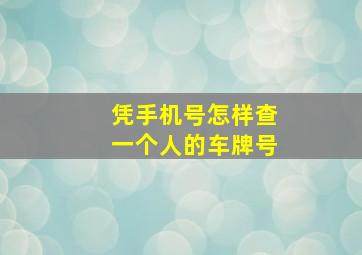 凭手机号怎样查一个人的车牌号