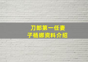 刀郎第一任妻子杨娜资料介绍