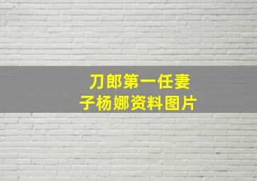 刀郎第一任妻子杨娜资料图片