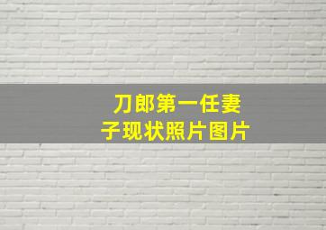 刀郎第一任妻子现状照片图片