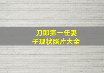 刀郎第一任妻子现状照片大全