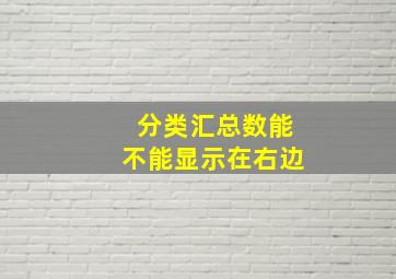 分类汇总数能不能显示在右边