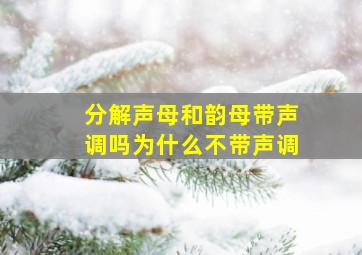 分解声母和韵母带声调吗为什么不带声调