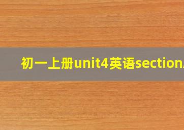 初一上册unit4英语sectionA