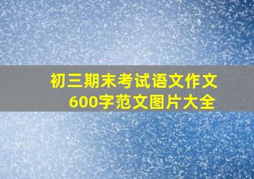 初三期末考试语文作文600字范文图片大全