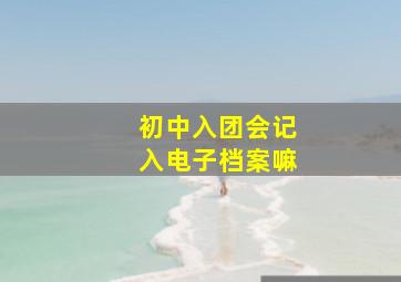 初中入团会记入电子档案嘛