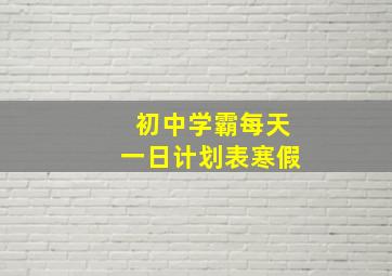 初中学霸每天一日计划表寒假