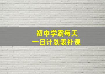 初中学霸每天一日计划表补课