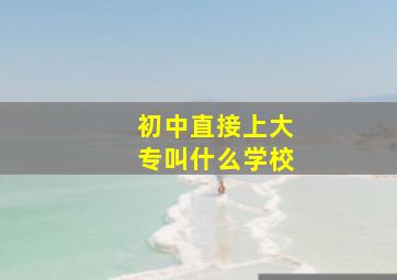 初中直接上大专叫什么学校