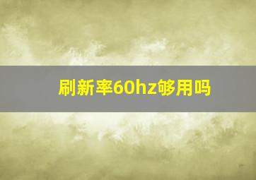 刷新率60hz够用吗