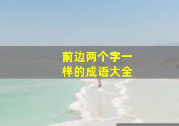 前边两个字一样的成语大全