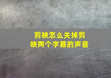 剪映怎么关掉剪映两个字幕的声音