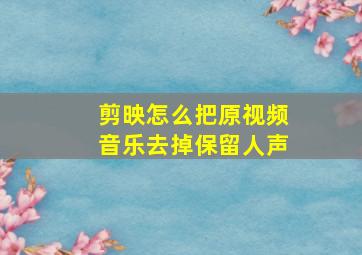 剪映怎么把原视频音乐去掉保留人声