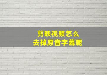 剪映视频怎么去掉原音字幕呢