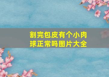 割完包皮有个小肉球正常吗图片大全