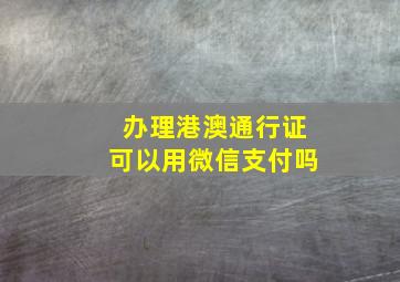 办理港澳通行证可以用微信支付吗