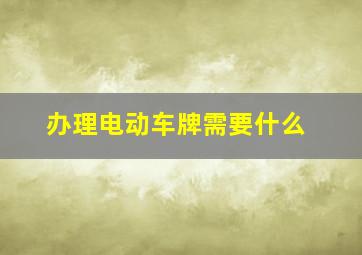 办理电动车牌需要什么