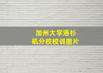 加州大学洛杉矶分校校训图片