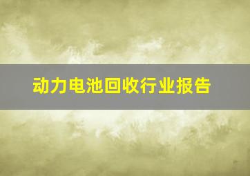 动力电池回收行业报告