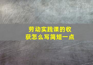 劳动实践课的收获怎么写简短一点