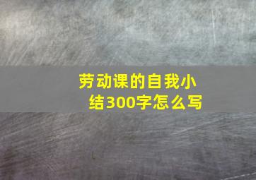 劳动课的自我小结300字怎么写