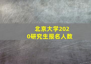 北京大学2020研究生报名人数