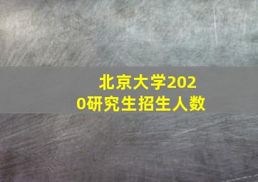 北京大学2020研究生招生人数