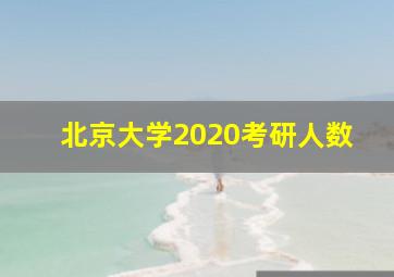 北京大学2020考研人数