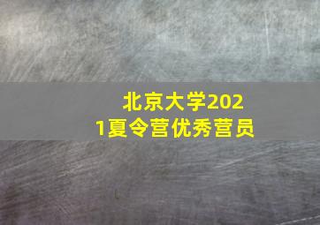 北京大学2021夏令营优秀营员