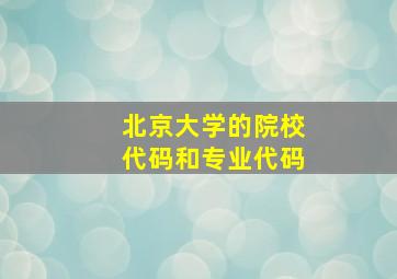 北京大学的院校代码和专业代码