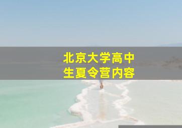 北京大学高中生夏令营内容