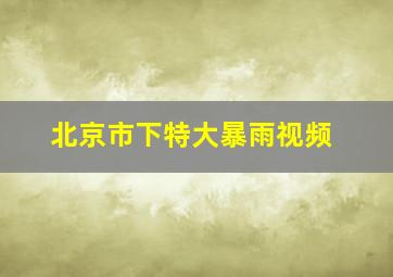 北京市下特大暴雨视频