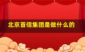 北京首信集团是做什么的