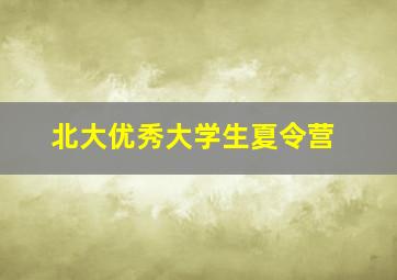 北大优秀大学生夏令营