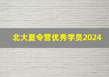 北大夏令营优秀学员2024