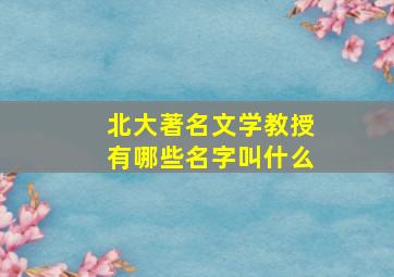 北大著名文学教授有哪些名字叫什么