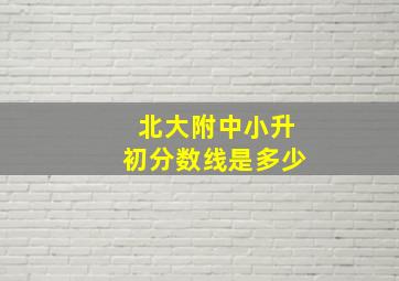 北大附中小升初分数线是多少