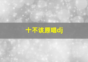 十不该原唱dj